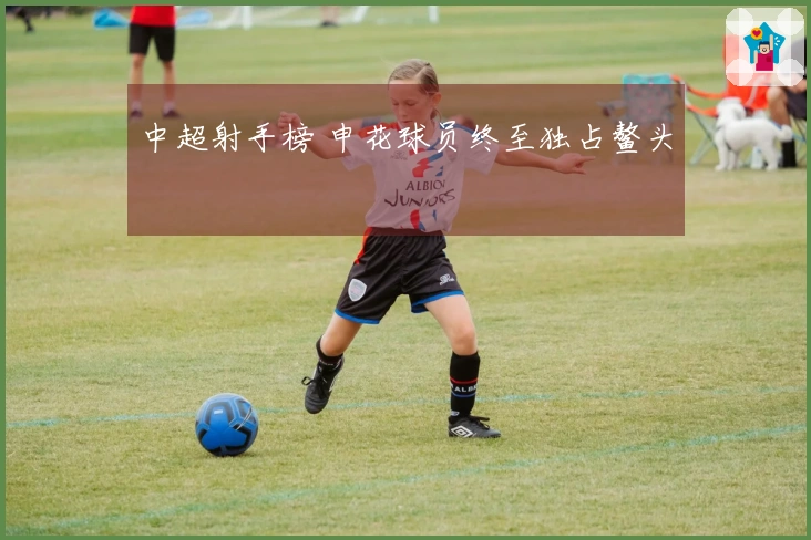 中超射手榜 申花球员终至独占鳌头